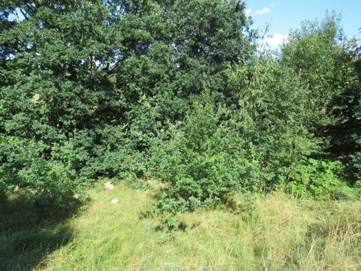 Grundstück zum Kauf 105.000 € 860 m² Grundstück frei ab sofort Viechtach Viechtach 94234
