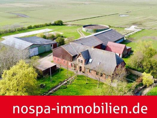 Bauernhaus zum Kauf 349.000 € 7 Zimmer 172 m² 12.701 m² Grundstück Pellworm 25849