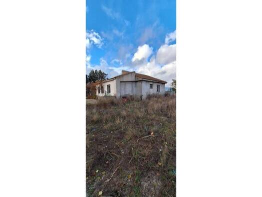 Acker-/Waldstück zum Kauf 500.000 € >Cam. Viejo de Madrid a Torrelaguna > El Molar 28710