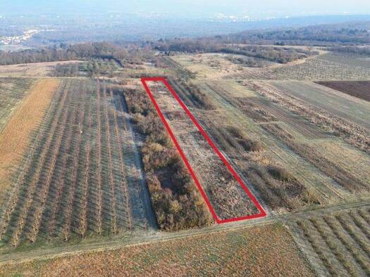 Land-/Forstwirtschaft zum Kauf 18.000 € 7.500 m² Grundstück Heidesheim 55262