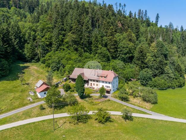 Bauernhaus zum Kauf 10 Zimmer 300 m² 80.000 m² Grundstück Falkensteig Buchenbach 79256