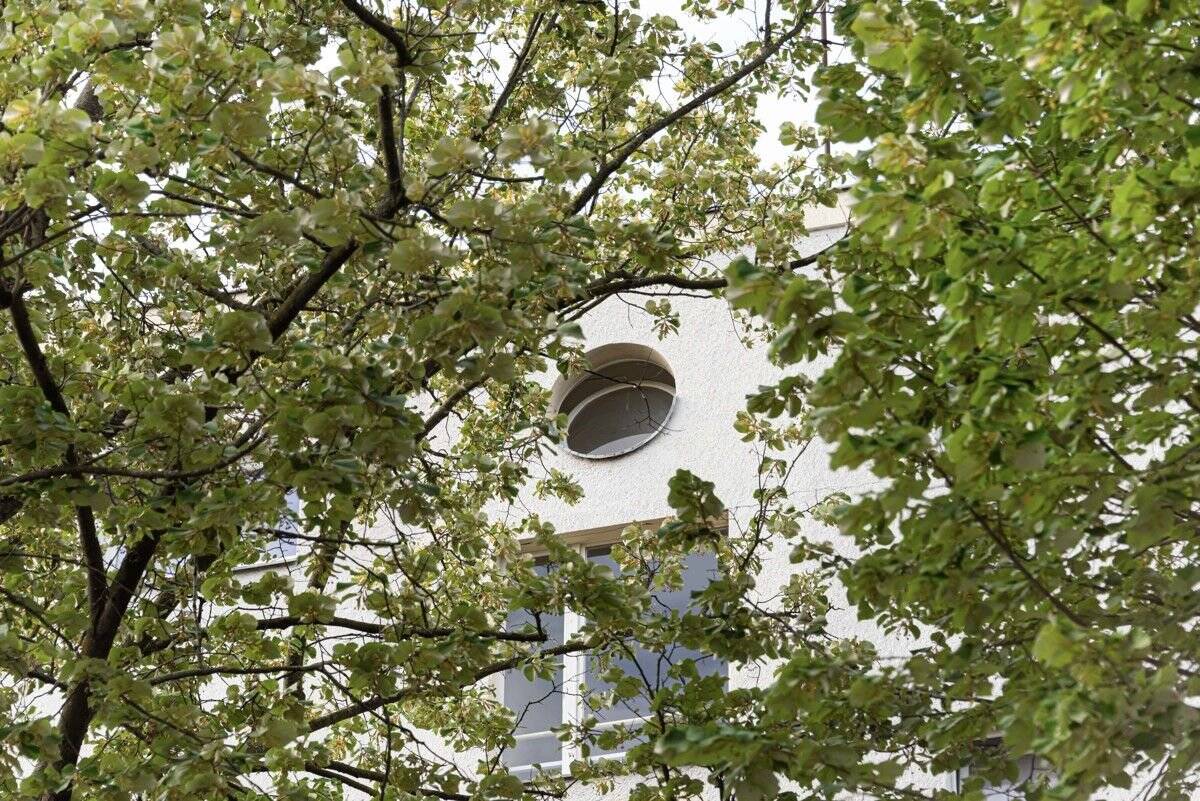 Property thumbnail 8