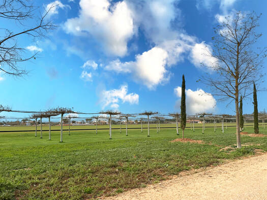 Grundstück zum Kauf provisionsfrei 420.000 € 17.400 m² Grundstück Campos 07630