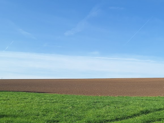 Grundstück zum Kauf 32.000 m² Grundstück frei ab sofort Haberthal Neufraunhofen 84181
