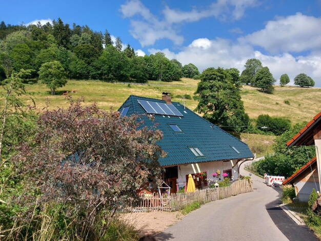 Bauernhaus zum Kauf provisionsfrei 649.000 € 7 Zimmer 220 m² 5.900 m² Grundstück Neuenweg Baden-Württemberg - Neuenweg 79692