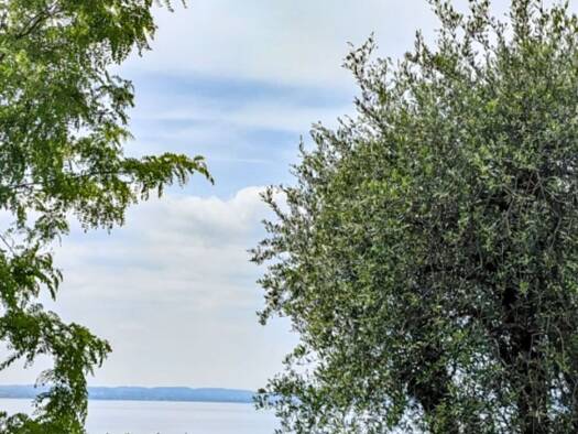 Grundstück zum Kauf 2.050.000 € 2.798 m² Grundstück Baugenehmigung vorhanden Lazise