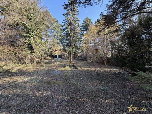 Grundstück zum Kauf 410.000 € 441 m² Grundstück Binsenweg Wien 1220