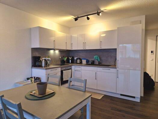 Wohnung zur Miete 705 € 2 Zimmer 58,8 m² 1. Geschoss frei ab 01.02.2026 Villingen Villingen-Schwenningen 78048