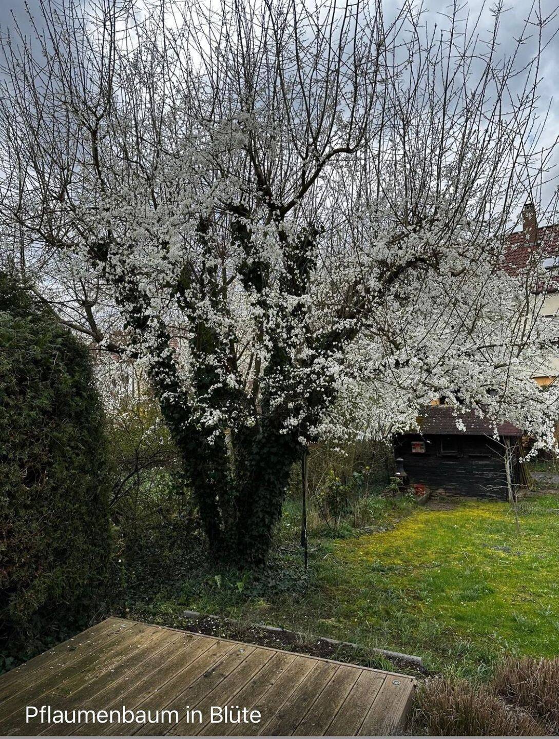 Property thumbnail 32