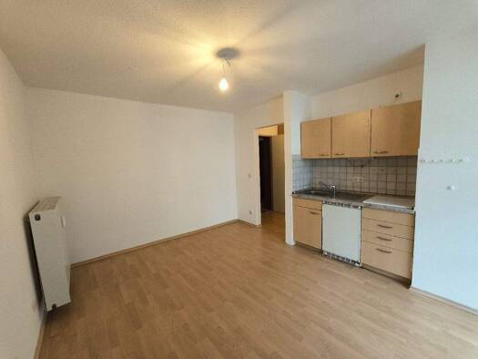 Studio zum Kauf 55.000 € 1 Zimmer 30 m² Viechtach 94234