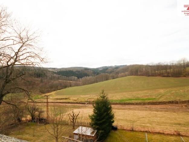 Wohnung zur Miete 234 € 2 Zimmer 52 m² EG Floßmühle 7 Borstendorf 09579