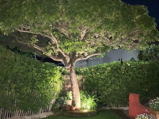 Einfamilienhaus zum Kauf provisionsfrei 737.000 € 6 Zimmer 168 m² 458 m² Grundstück Udenheim 55288