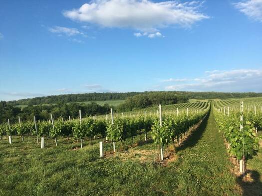 Sonstiges zum Kauf 49.000 € 150 m² Grundstück Stetten 2100