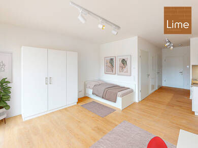 Wohnung zur Miete 690 € 1 Zimmer 39,6 m² EG Feldstraße 116 Offenbach am Main Offenbach 63071