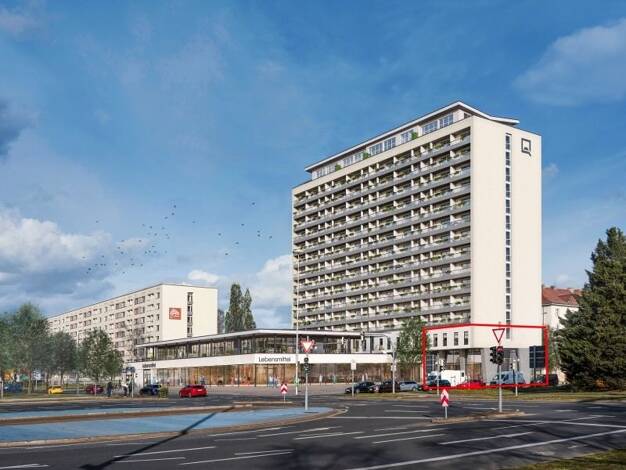 Ladenfläche zur Miete provisionsfrei 200 m² Verkaufsfläche Pirnaische Vorstadt Dresden 01069