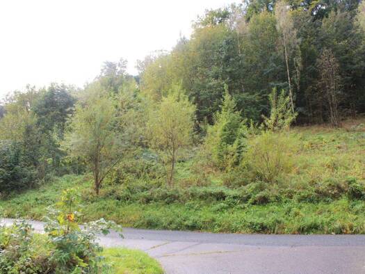 Grundstück zum Kauf 19.750 € 2.687 m² Grundstück Olbernhau Olbernhau 09526