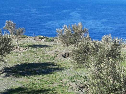 Land-/Forstwirtschaft zum Kauf 280.000 € 27.000 m² Grundstück Kykladen