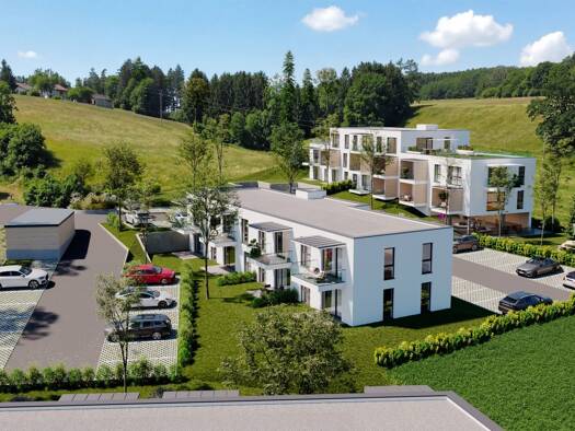 Wohnung zum Kauf provisionsfrei 236.565 € 2 Zimmer 52,6 m² 1. Geschoss Thalheim bei Wels 4600