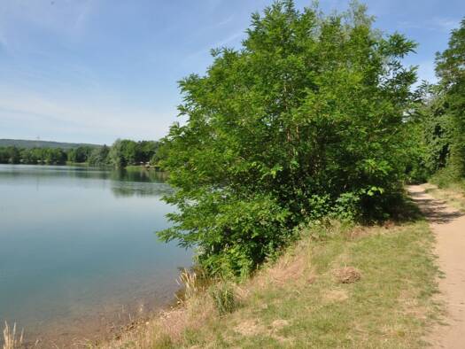 Einfamilienhaus zum Kauf 899.000 € 4 Zimmer 110 m² 1.968 m² Grundstück Niedernberg 63843