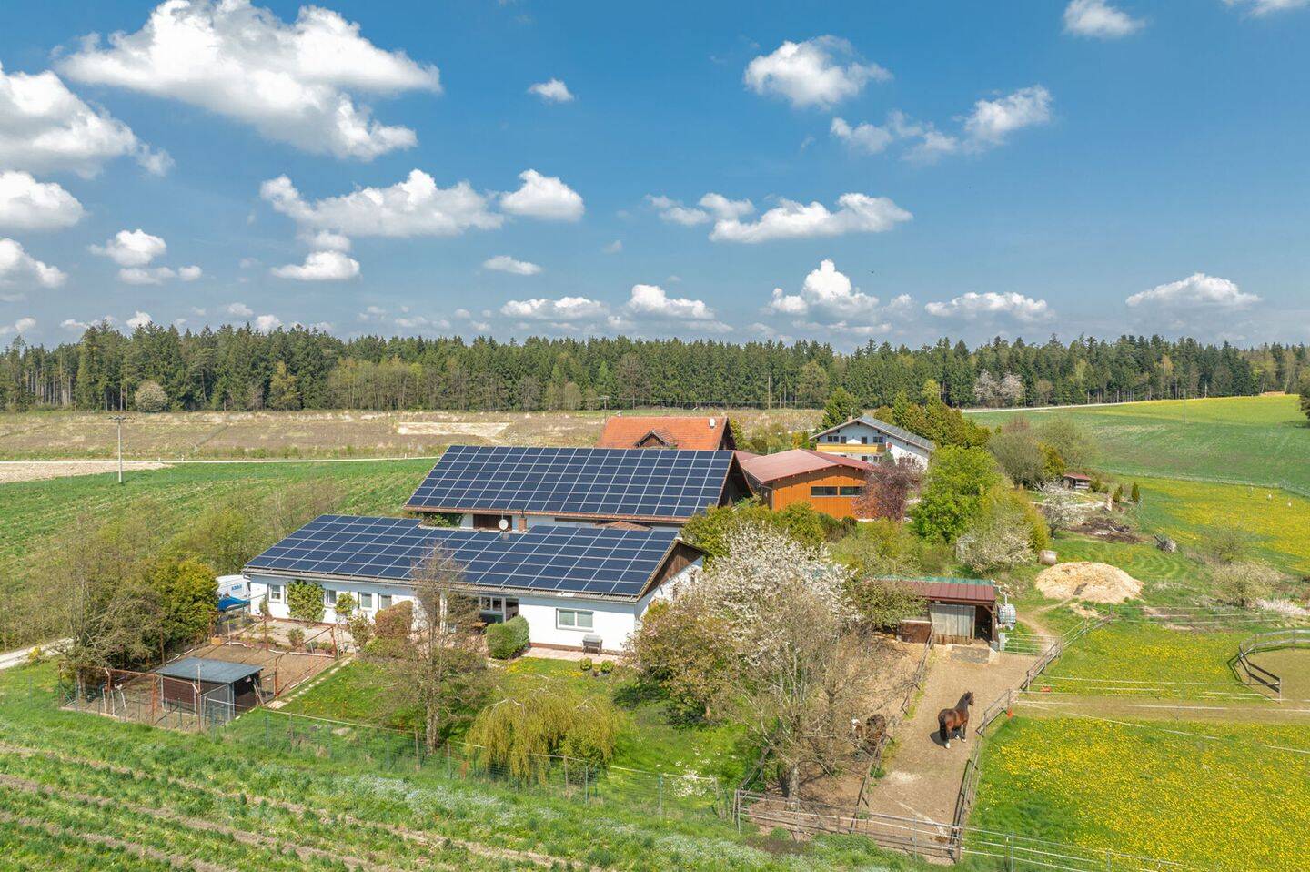 Bauernhof zum Kauf - Mehr