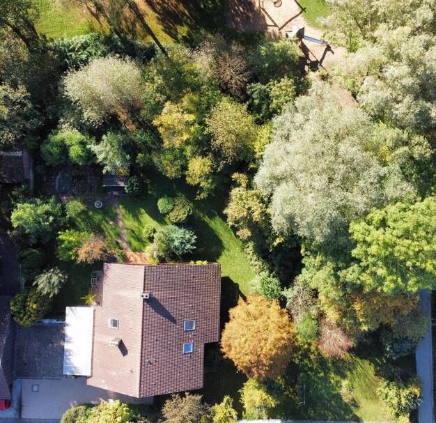 Einfamilienhaus kaufen in Dietenheim Regglisweiler immowelt