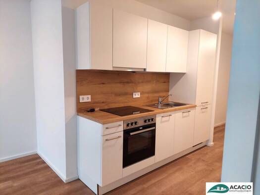 Wohnung zur Miete - Erstbezug 554 € 2 Zimmer 52,4 m² 1. Geschoss Pixendorf 3451