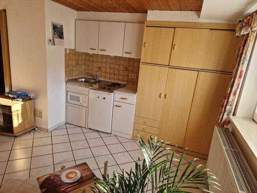 Wohnung zur Miete 330 € 1 Zimmer 26 m² frei ab 01.03.2026 Lengenfeld Oberostendorf 86869