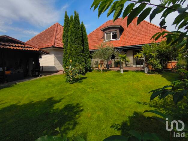 Einfamilienhaus zum Kauf 489.000 € 7 Zimmer 239 m² 1.148 m² Grundstück Sustrum 49762