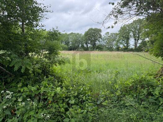 Land-/Forstwirtschaft zum Kauf 350.000 € 10.164 m² Grundstück Lutzhorn 25355