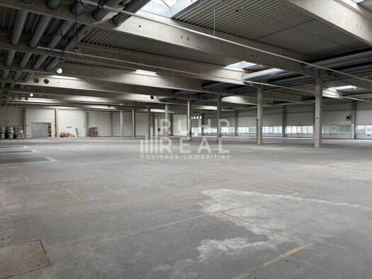 Lagerhalle zur Miete provisionsfrei 7 € 3.015 m² Lagerfläche teilbar ab 3.015 m² Türnich Kerpen 50169