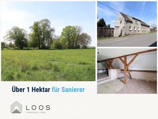Einfamilienhaus zum Kauf 55.000 € 7 Zimmer 206 m² 10.080 m² Grundstück Hohenwussen Naundorf 04936