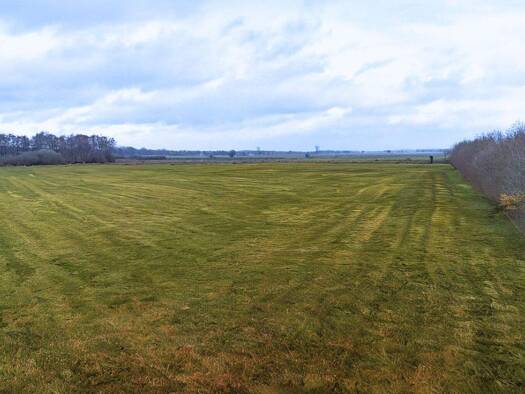 Land-/Forstwirtschaft zum Kauf 56.018 m² Grundstück Madlage Löningen 49624