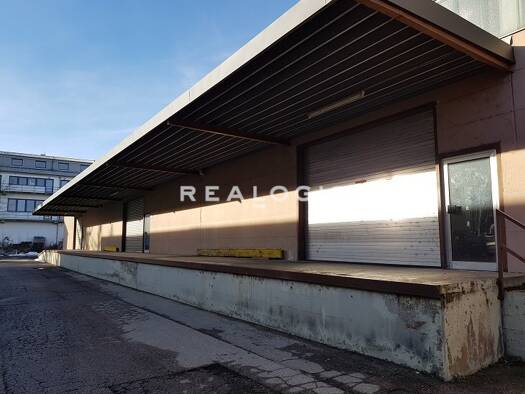 Halle/Industriefläche zur Miete 800 m² Lagerfläche teilbar ab 800 m² Schwabing-Freimann München 80939