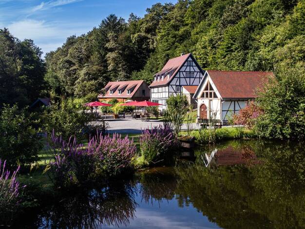 Haus zum Kauf 4.100.000 € 1.025 m² 169.374 m² Grundstück Gräfendorf Gräfendorf 97782