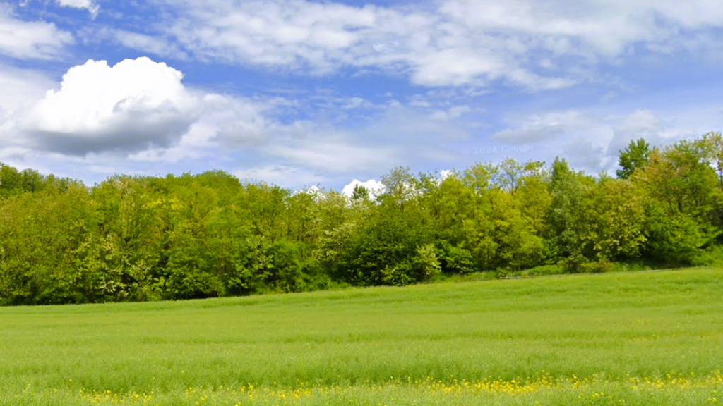 Land-/Forstwirtschaft zum Kauf provisionsfrei 167.500 € 224.734 m² Grundstück Komitat Zala