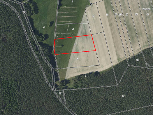 Land-/Forstwirtschaft zur Miete provisionsfrei 88.730 m² Grundstück Alt Zauche Alt Zauche-Wußwerk 15913