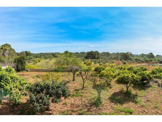 Acker-/Waldstück zum Kauf 850.000 € Palma - Algaida 1 Palma 07199