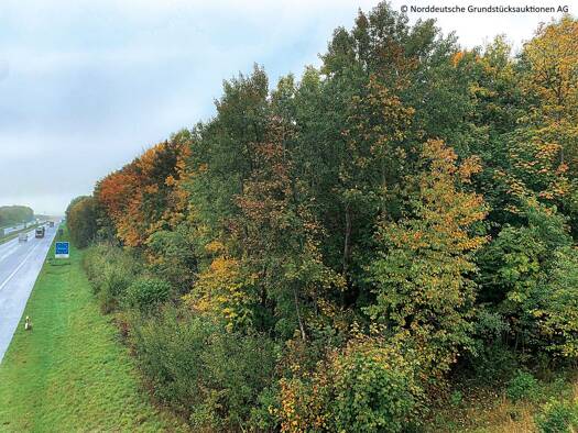 Land-/Forstwirtschaft zum Kauf 2.000 € 3.654 m² Grundstück Ellund Handewitt 24983