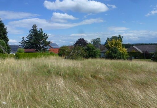 Grundstück zum Kauf 289.000 € 1.070 m²<br/>Grundstück Maibach Butzbach 35510