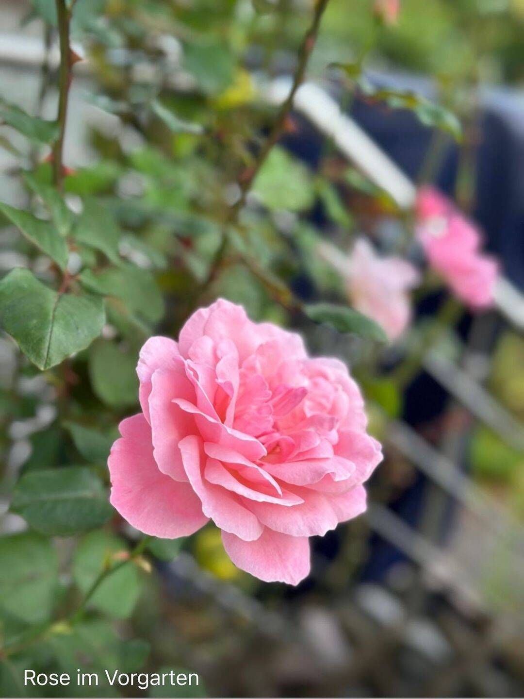 Property thumbnail 35