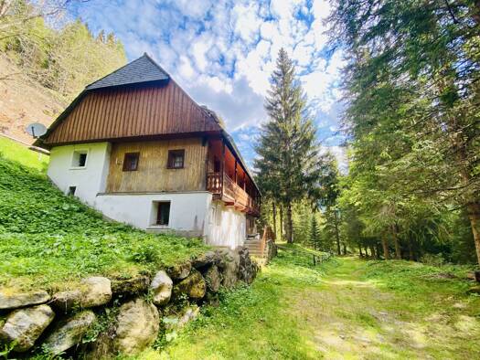 Haus zum Kauf 79.000 € 568 m² Grundstück Pusterwald Pusterwald 8764