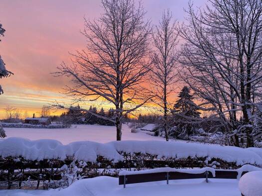 Haus zum Kauf 260.000 € 3 Zimmer 42 m² 817 m² Grundstück St. Andreasberg Sankt Andreasberg 37444