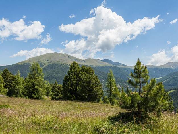 Grundstück zum Kauf 395.000 € 444 m² Grundstück Turrach 8864