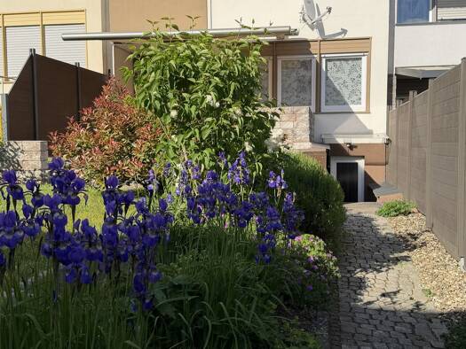 Reihenhaus zur Miete 980 € 4 Zimmer 115 m² frei ab 01.11.2026 Niederauerbach Zweibrücken 66482