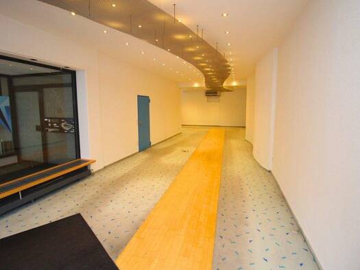 Verkaufsfläche zur Miete 1.300 € 85 m² Verkaufsfläche Innenstadt Worms 67547