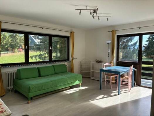 Wohnung zur Miete 490 € 1 Zimmer 35 m² Bernau Bernau im Schwarzwald 79872