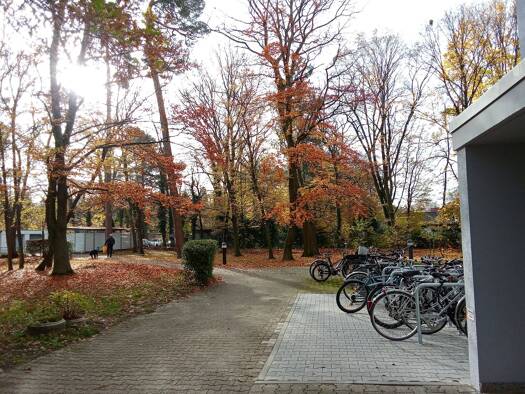 WG-Zimmer zur Miete 372 € 12 m² frei ab 01.10.2026 Waldstadt Karlsruhe 76139