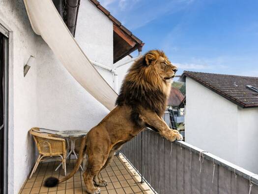 Maisonette zum Kauf 495.000 € 5 Zimmer 90 m² Seeheim 64342