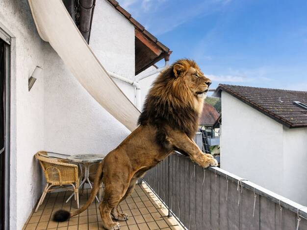 Maisonette zum Kauf 495.000 € 5 Zimmer 90 m² Seeheim 64342