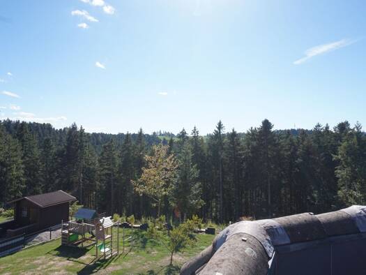 Terrassenwohnung zur Miete 450 € 3 Zimmer 78,8 m² 2 Geschosse frei ab sofort Aichhalden Aichhalden 78733